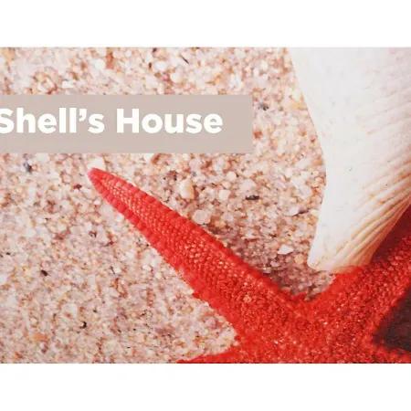 Shell's House 安齐奥